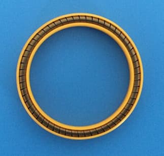 LNG injection spring energized seals